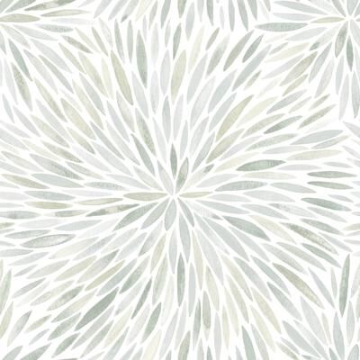 Roommates Green Cat Coquillette Burst Peel and Stick Wallpaper