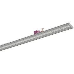 Ridi-Leuchten LED-Geräteträger, 7x VL2PGL150 #2560743SI