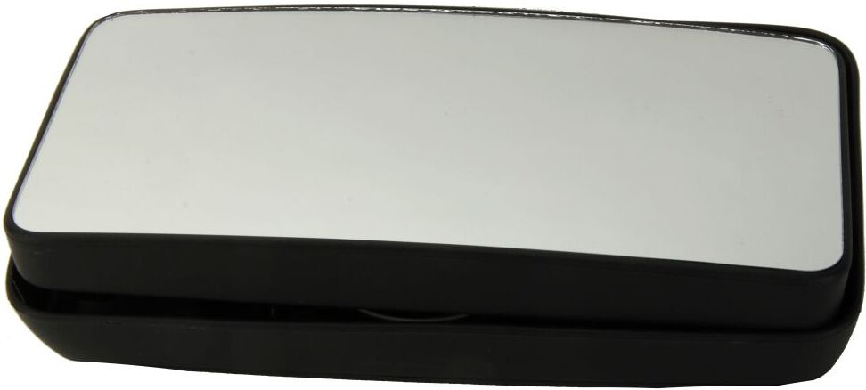 Rywal Specchietti retrovisori esterni 775028L