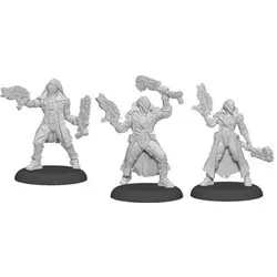 Privateer Press Übersee Vassal Reavers Warcaster Aeternus Continuum Squad (metal)