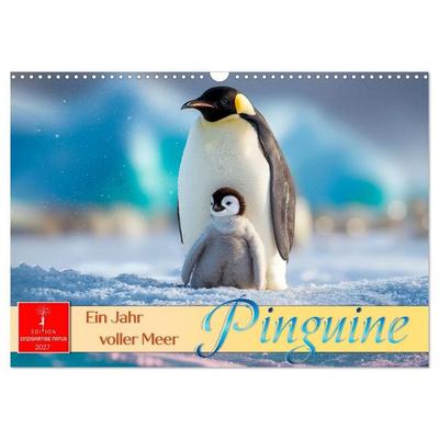 Pinguine - ein Jahr voller Meer (Wandkalender 2027 DIN A3 quer), CALVENDO Monatskalender