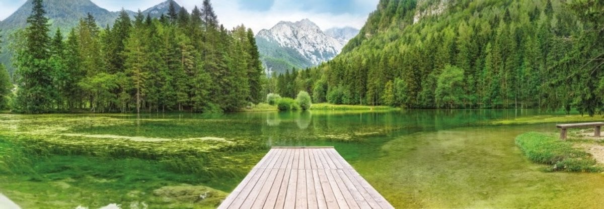Komar Fotobehang Green Lake – Bos, Meer en Bergen in Groen Landschap
