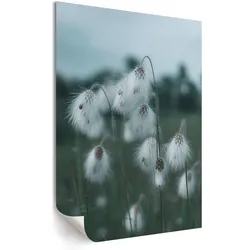 POSTER - 42x59 cm - Opps - Grasohren
