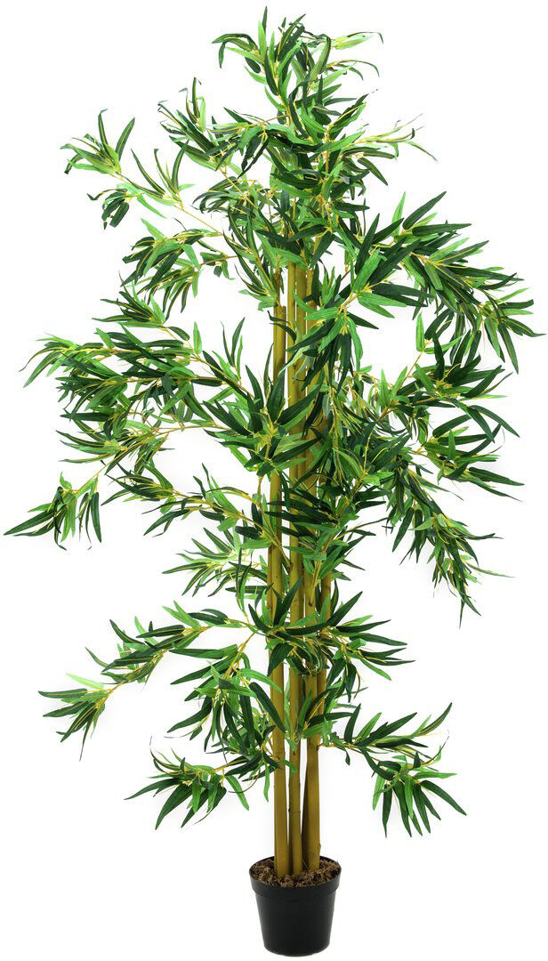 Europalms Bambus Multistamm, 150cm