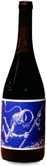 El Mozo Wines El Mozo El Cosmonauta Paraje 601 2020 - 75cl