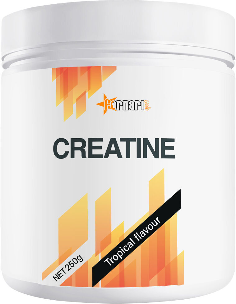 fornari sport creatine 250 gr tropical