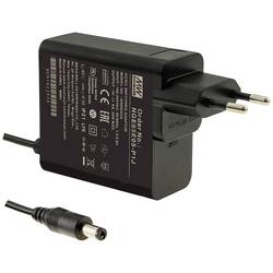 MEAN WELL NGE65E12-P1J Steckernetzteil, Festspannung 12 V 4.88 A 58.5 W Stabilisiert