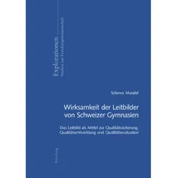 Wirksamkeit der Leitbilder von Schweizer Gymnasien, Fachbücher von Schewa Mandel
