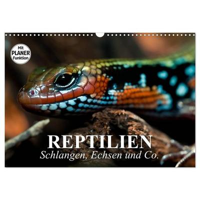 Reptilien. Schlangen, Echsen und Co. (Wandkalender 2027 DIN A3 quer), CALVENDO Monatskalender