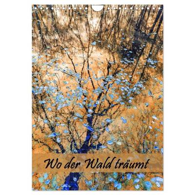 Wo der Wald träumt (Wandkalender 2026 DIN A4 hoch), CALVENDO Monatskalender