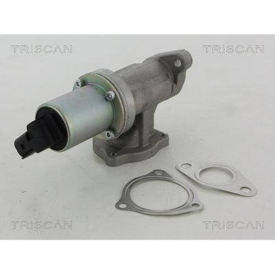 Triscan AGR-Ventil [Hersteller-Nr. 881343100] für Hyundai