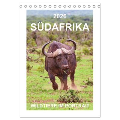 SÜDAFRIKA - WILDTIERE IM PORTRAIT (Tischkalender 2026 DIN A5 hoch), CALVENDO Monatskalender