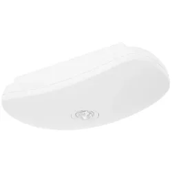 Fischer LED-Sicherheitsleuchte BSU819SC