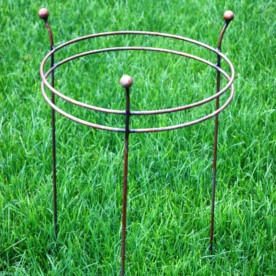 Symple Stuff Steel 83.8Cm x 50.8Cm
