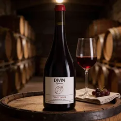 Divin alkoholfreie Weine  Divin Vigneron Pinot Noir alkoholfreier Wein Pinot Noir Frankreich