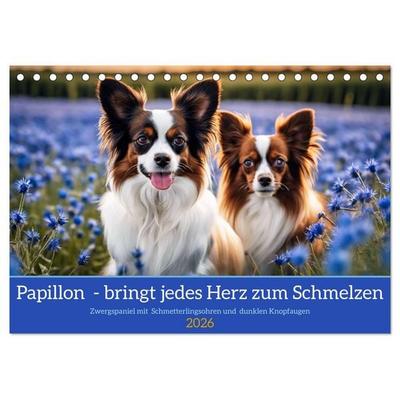 Papillon - bringt jedes Herz zum Schmelzen (Tischkalender 2026 DIN A5 quer), CALVENDO Monatskalender