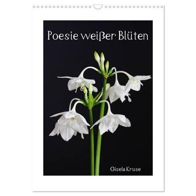 Poesie weißer Blüten (Wandkalender 2026 DIN A3 hoch), CALVENDO Monatskalender