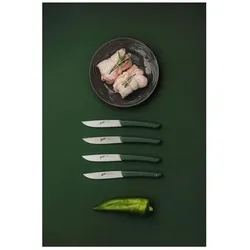 Berkel Steakmesser-Set 4-tlg. Color verde, Besteck, Grün