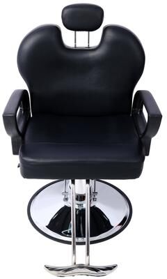 Justmaellc Hair Stylist All Purpose Barber Chair for Barbershop Salon Chair - N/A