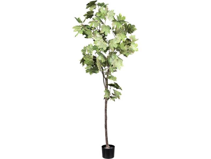 Kunstpflanze Ahorn H: 175 cm
