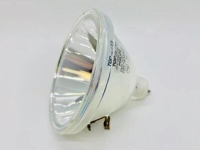 Philips Envisiontech Perfactory P3 Series 3D Printer Replacement Lamp - 180 Day Warranty