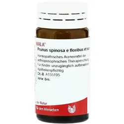 Prunus Spinosa E floribus et summitatibu 20 g