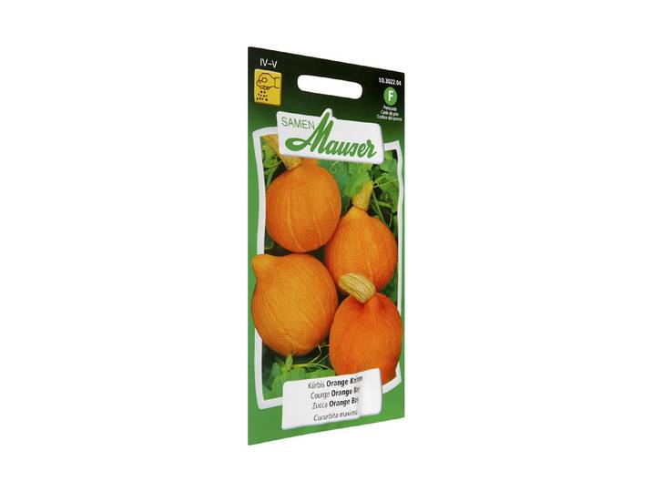 Samen Mauser Kürbis Orange Knirps