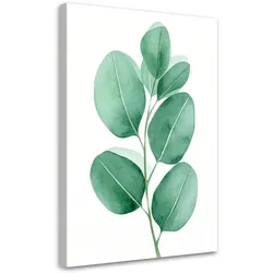 LEINWANDBILD Natur und Botanik 20x30cm