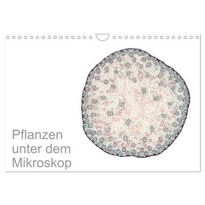 Pflanzen unter dem Mikroskop (Wandkalender 2027 DIN A4 quer), CALVENDO Monatskalender
