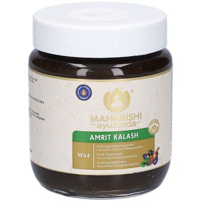 MA 4 Frucht- u.Kräuterzubereitung Paste 600 g