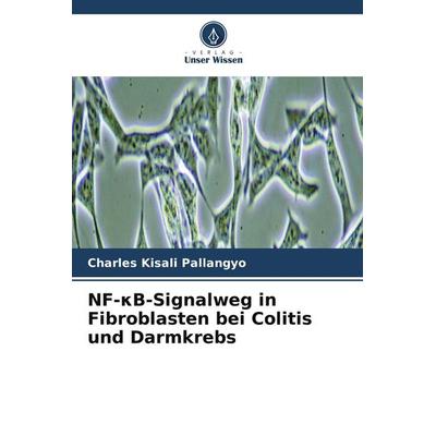 NF-¿B-Signalweg in Fibroblasten bei Colitis und Darmkrebs, Taschenbuch von Charles Kisali Pallangyo, Verlag Unser Wissen