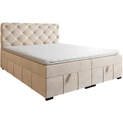 BOXBETT Gisel