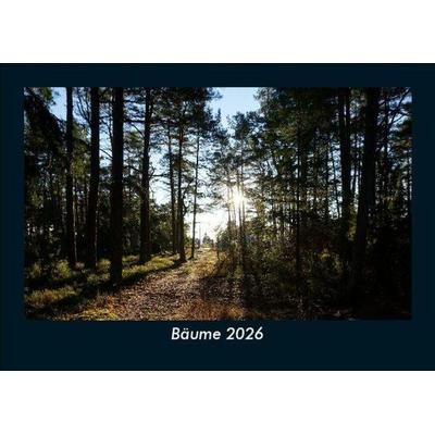 Bäume 2026 Fotokalender DIN A5