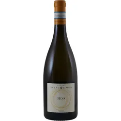 Selva Capuzza Lugana Selva 2024
