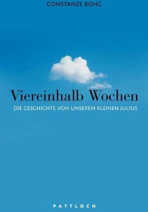 Constanze Bohg - Viereinhalb Wochen: Die Geschichte von unserem kleinen Julius - Preis vom 11.10.2026 15:43:13 h