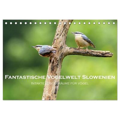 Fantastische Vogelwelt Slowenien (Tischkalender 2027 DIN A5 quer), CALVENDO Monatskalender