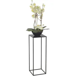 möbel direkt online Blumenständer Ines "XL"