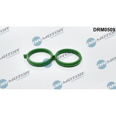 DR.MOTOR AUTOMOTIVE Dichtung, Leerlaufregelventil-Luftversorgung drm0509 für Ford