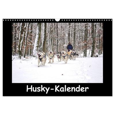 Husky-Kalender (Wandkalender 2027 DIN A3 quer), CALVENDO Monatskalender