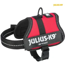 Julius-K9 Powergeschirr für kleinere Hunde ergonomisch (XXS, Hund, Hundesport), Halsband + Leine