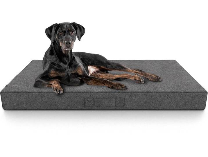 Hundematte KNUFFELWUFF Orthopädische inkontinenz Lenie , grau, B/H/L: 100cm x 65cm, Tierbetten, Hundematte