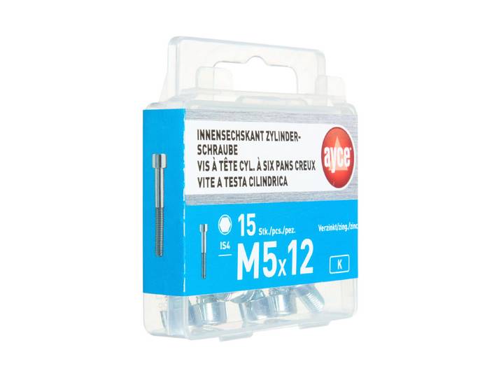 Ayce Innensechskant-Zylinderschraube M5 × 12 mm
