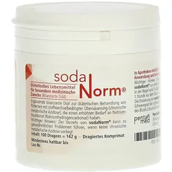 Sodanorm Magensaftresistente Dragees 100 St
