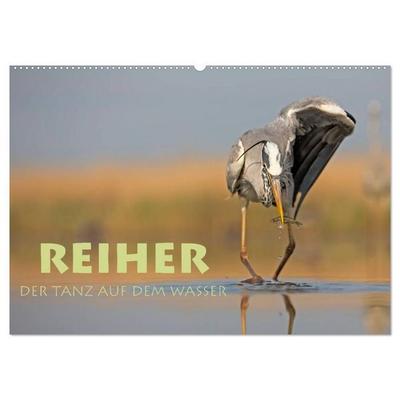Reiher - Der Tanz auf dem Wasser (Wandkalender 2027 DIN A2 quer), CALVENDO Monatskalender