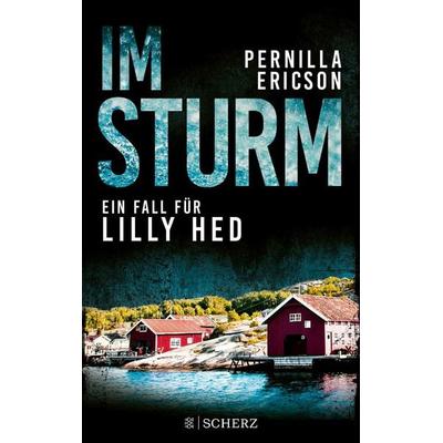 Im Sturm, Taschenbuch von Pernilla Ericson, Fischer Scherz, 978-3-651-00110-7