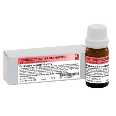 Echinacea Angustifolia D 12 Globuli 10 g