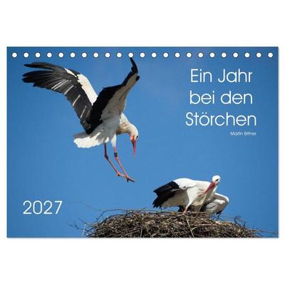 Ein Jahr bei den Störchen (Tischkalender 2027 DIN A5 quer), CALVENDO Monatskalender