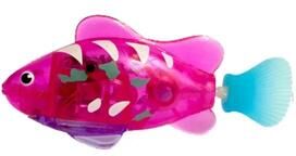 Inspired Living SplashChase LED Robot Fish Interactive Cat Toy 5