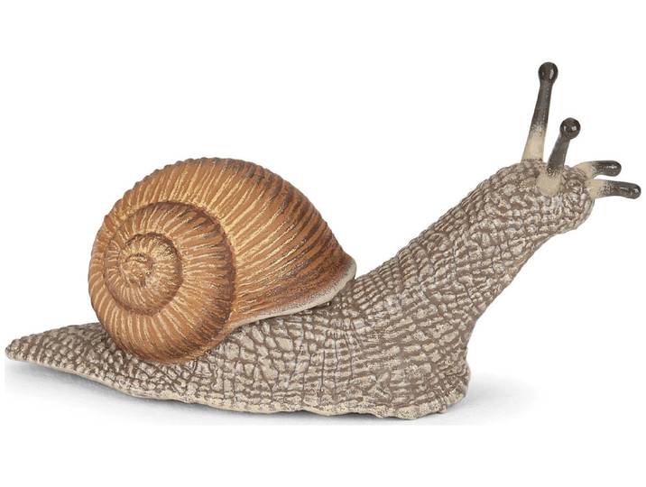 Papo Schnecke