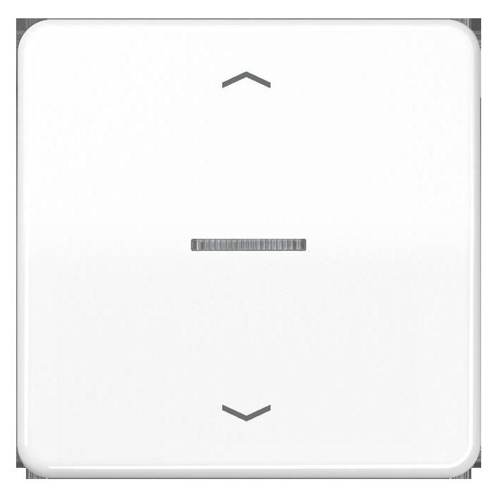 JUNG HOME Taster 1fach BTCD17101PWW m.Pfeilsymbolen (BTCD17101PWW)
